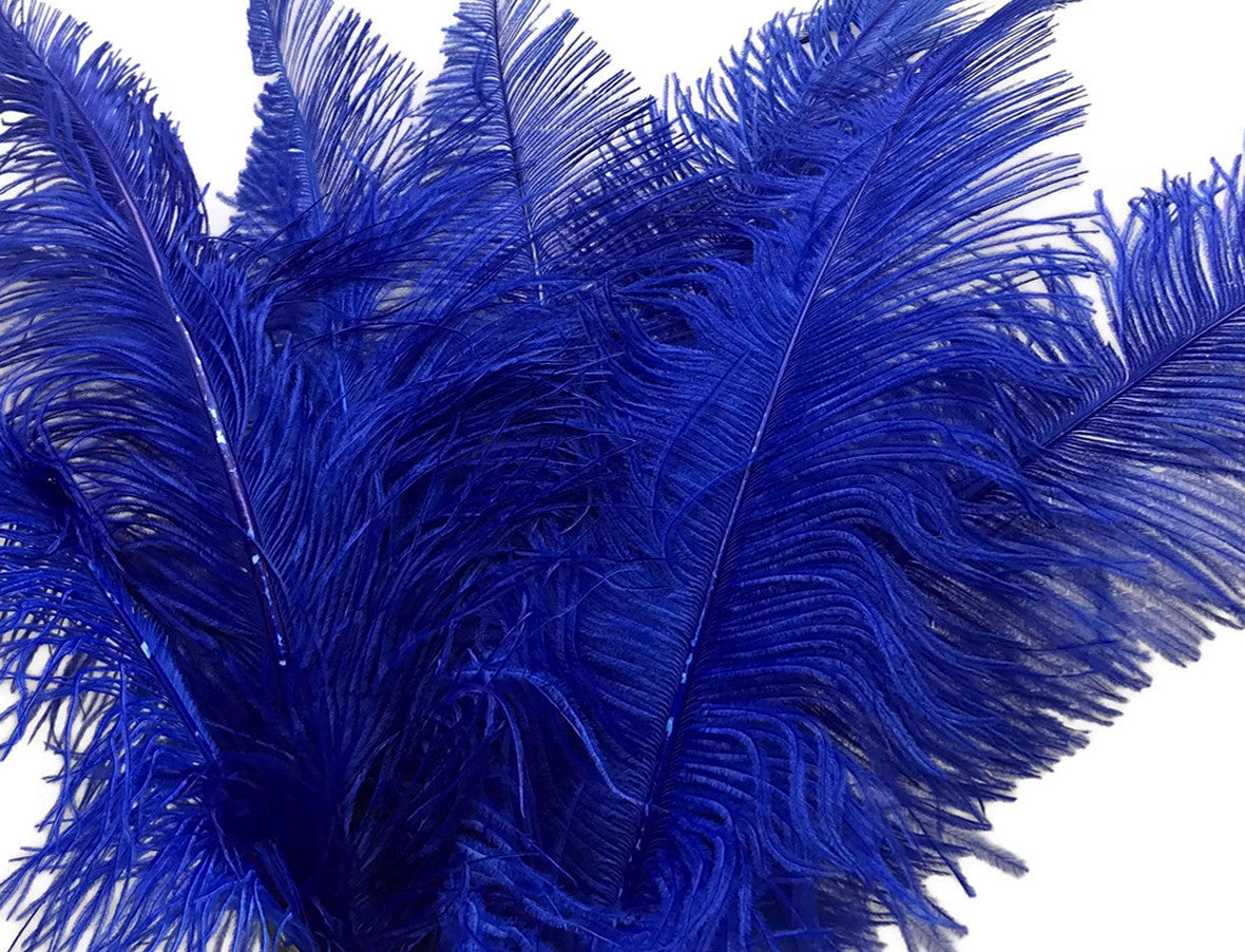 10 Pieces - 20-28" Royal Blue Ostrich Spads Large Feathers