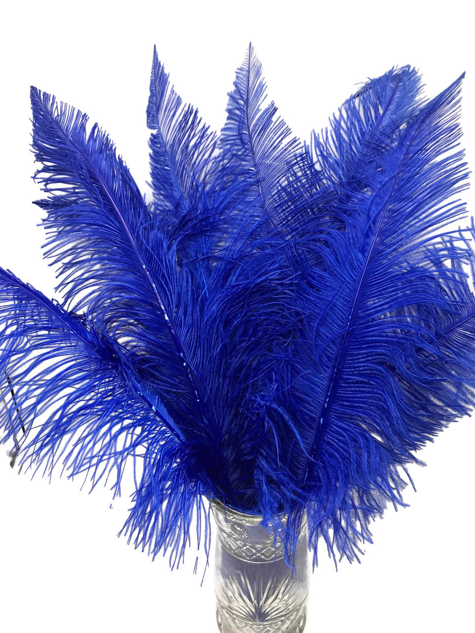 1/2 Lb - Royal Blue Large Ostrich Spads Wholesale Feathers 20-28" (Bulk)