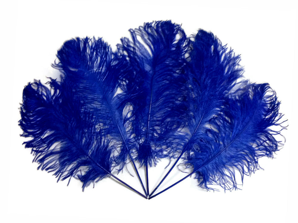 10 Pieces -  12-16" Royal Blue Dyed Ostrich Tail Fancy Feathers