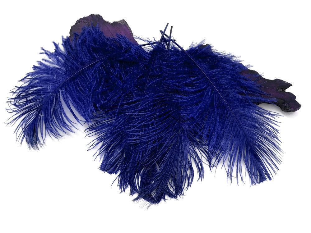 10 Pieces -  12-16" Royal Blue Dyed Ostrich Tail Fancy Feathers