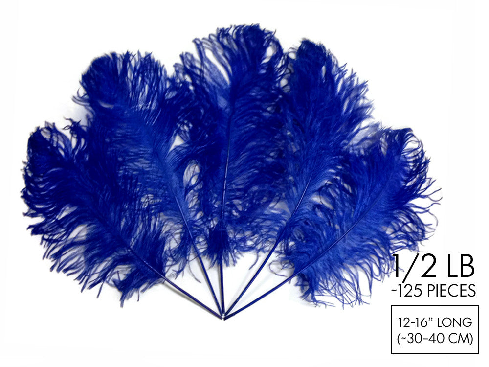 1/2 Lb - 12-16" Royal Blue Ostrich Tail Wholesale Fancy Feathers (Bulk)