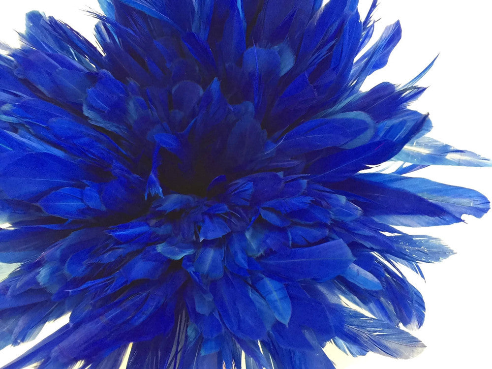 2.5  Inch Strip - Royal Blue Strung Natural Bleach & Dyed Coque Tails Feathers