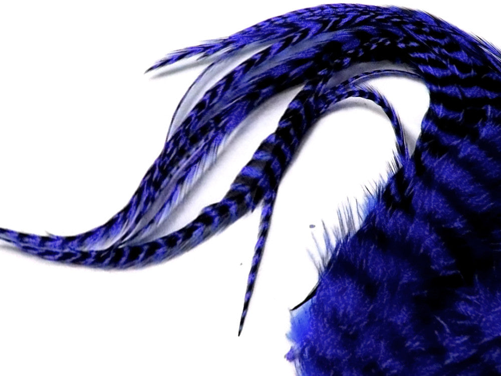 6 Pieces - XL Royal Blue Thick Long Grizzly Whiting Farm Rooster Saddle Hair Extension Feathers