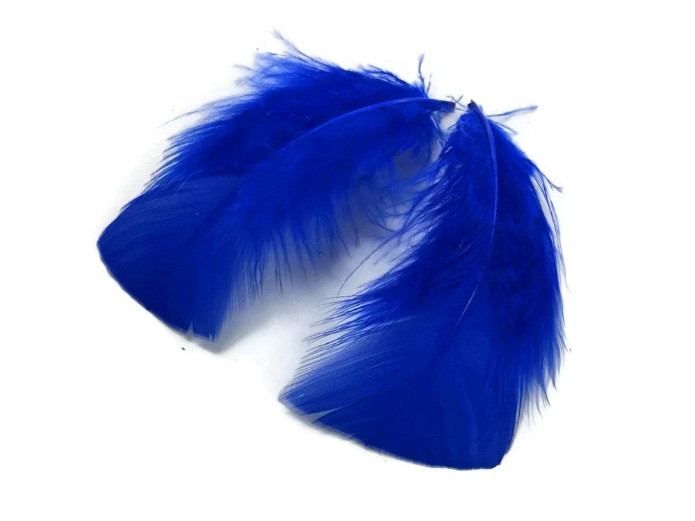 1/4 Lb - Royal Blue Turkey T-Base Wholesale Body Plumage Feathers (Bulk)