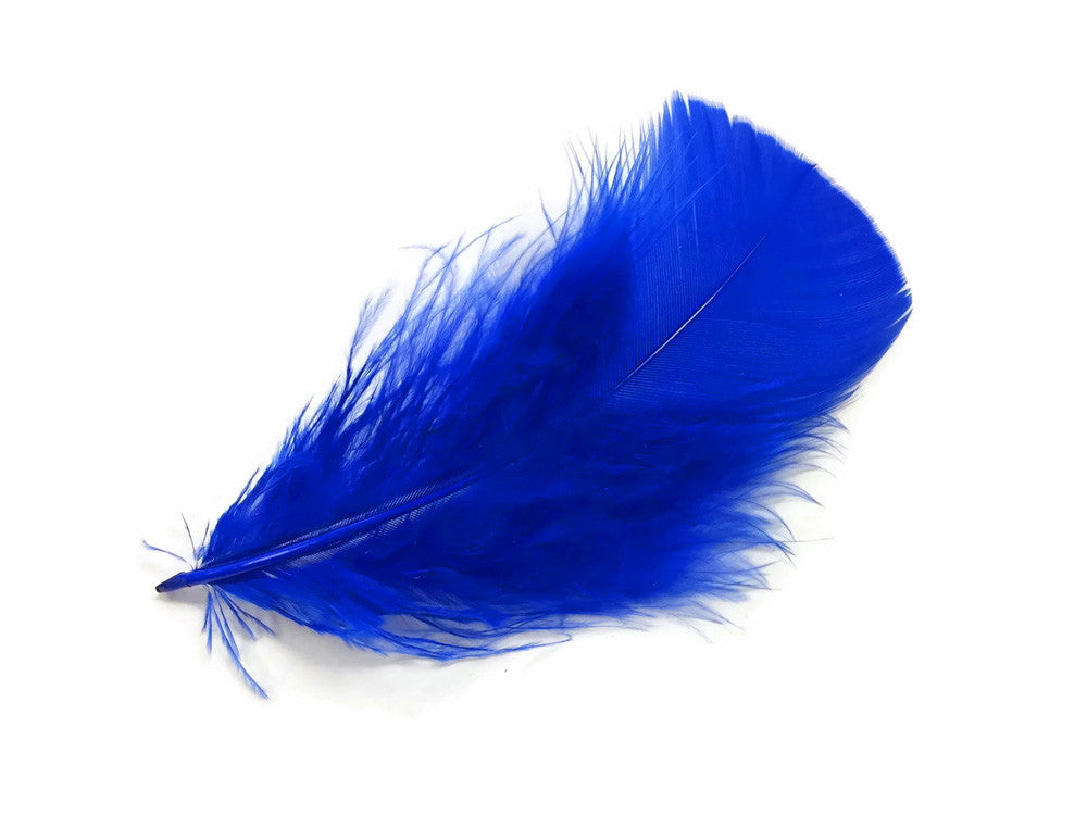 1/4 Lb - Royal Blue Turkey T-Base Wholesale Body Plumage Feathers (Bulk)