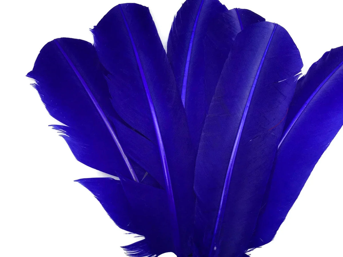 Vibrant cobalt blue feathers for DIY crafts and fashion accessories.