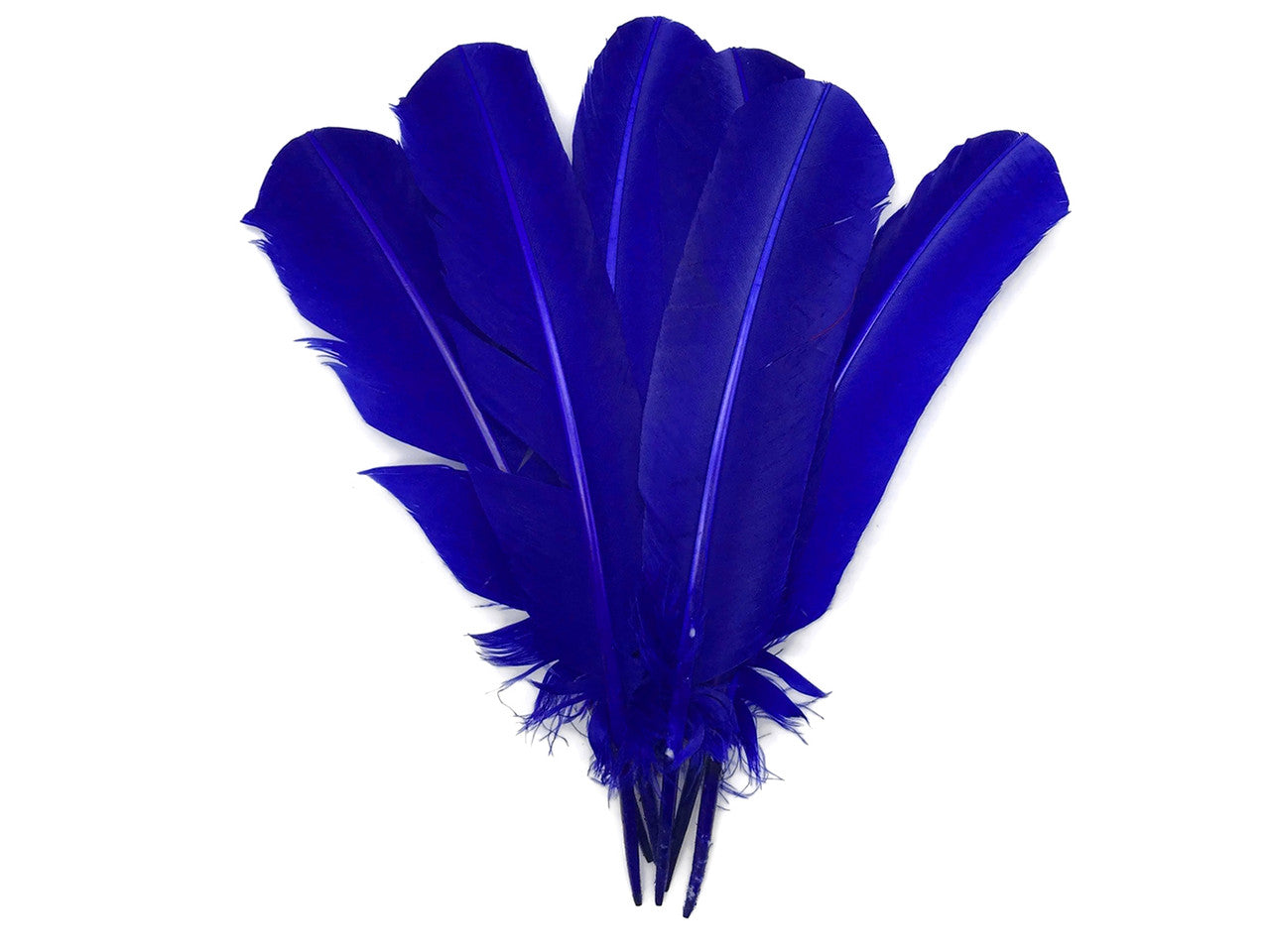 6 Pieces - Royal Blue Turkey Rounds Secondary Wing Quill Feathers