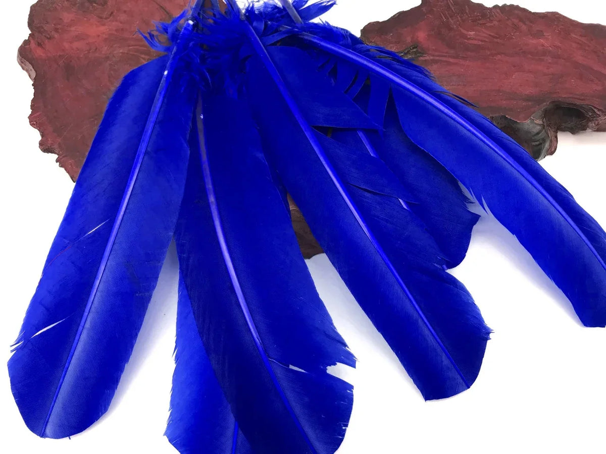 Vibrant cobalt blue feathers for DIY crafts and fashion accessories.