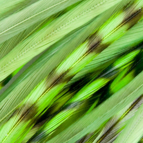 6 Pieces - XL Solid Lime Green Thick Long Whiting Farm Rooster Saddle Hair Extension Feathers