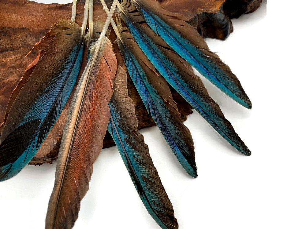 4 Pieces - 6-8" Teal Blue And Pale Red Hybrid Macaw Wing Feather -Rare-