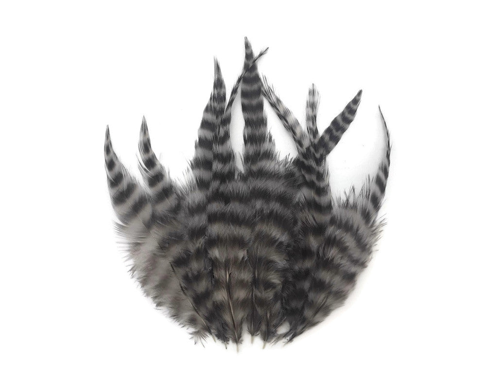 1 Dozen - Short Grey Dun Grizzly Whiting Farm Rooster Saddle Hair Extension Feathers