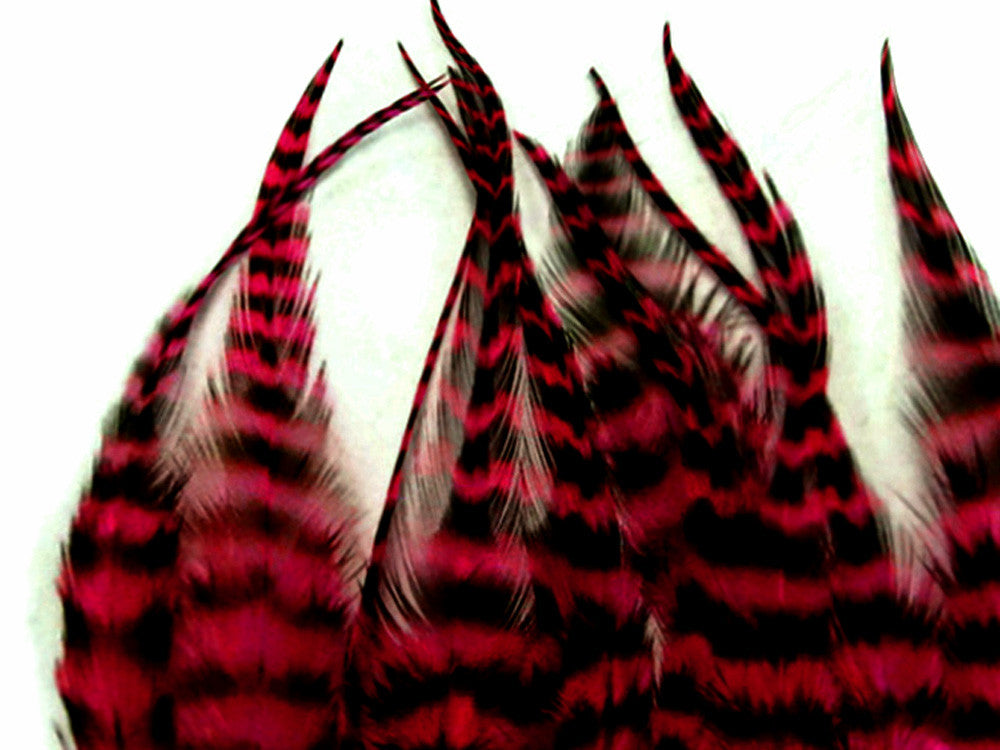 1 Dozen - Short Claret Grizzly Grizzly Whiting Farm Rooster Saddle Hair Extension Feathers