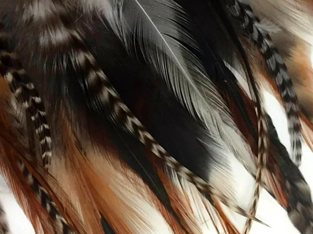 Assorted natural feathers in black, brown, and patterned textures for DIY crafts and fashion.