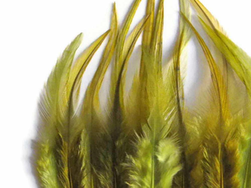 1 Dozen - Short Solid Olive Whiting Farm Rooster Saddle Hair Extension Feathers