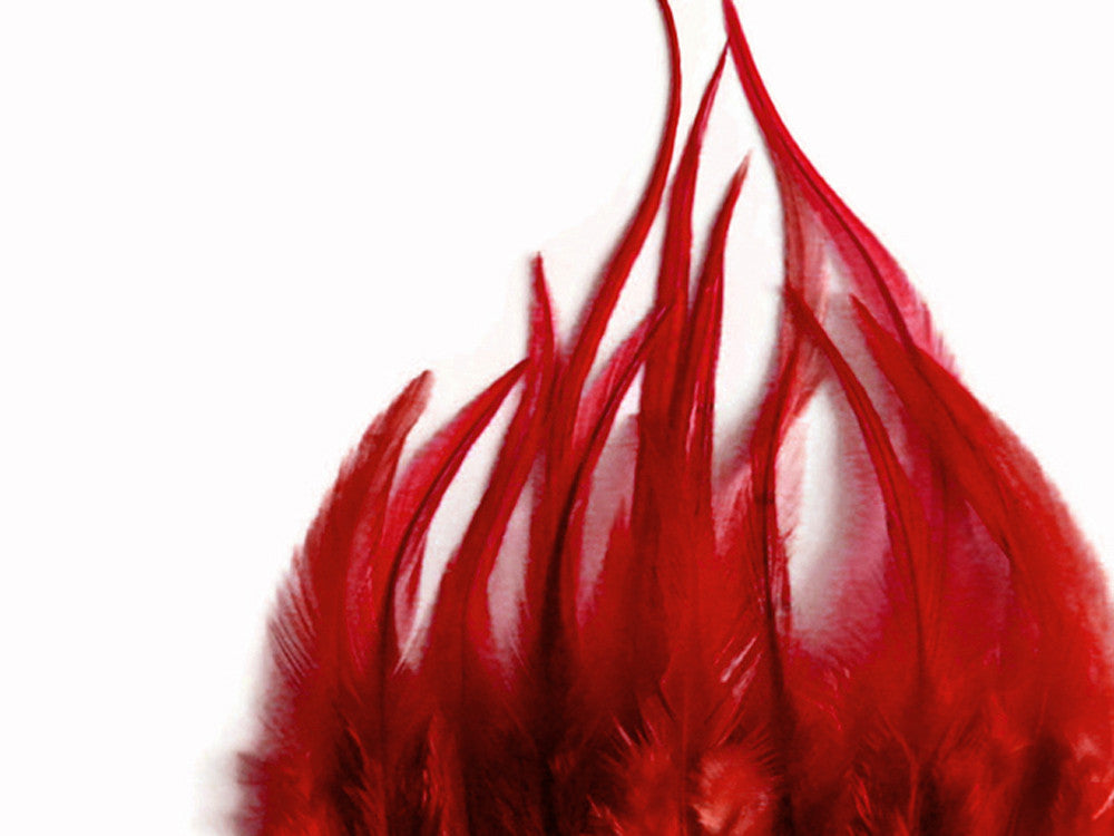 1 Dozen - Short Solid Red Whiting Farm Rooster Saddle Hair Extension Feathers