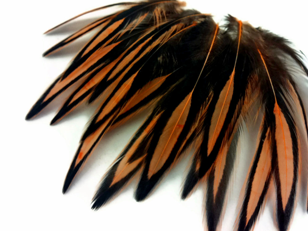 1 Dozen - Shrimp Pink Whiting Farms BLW Laced Hen Cape Loose Feathers