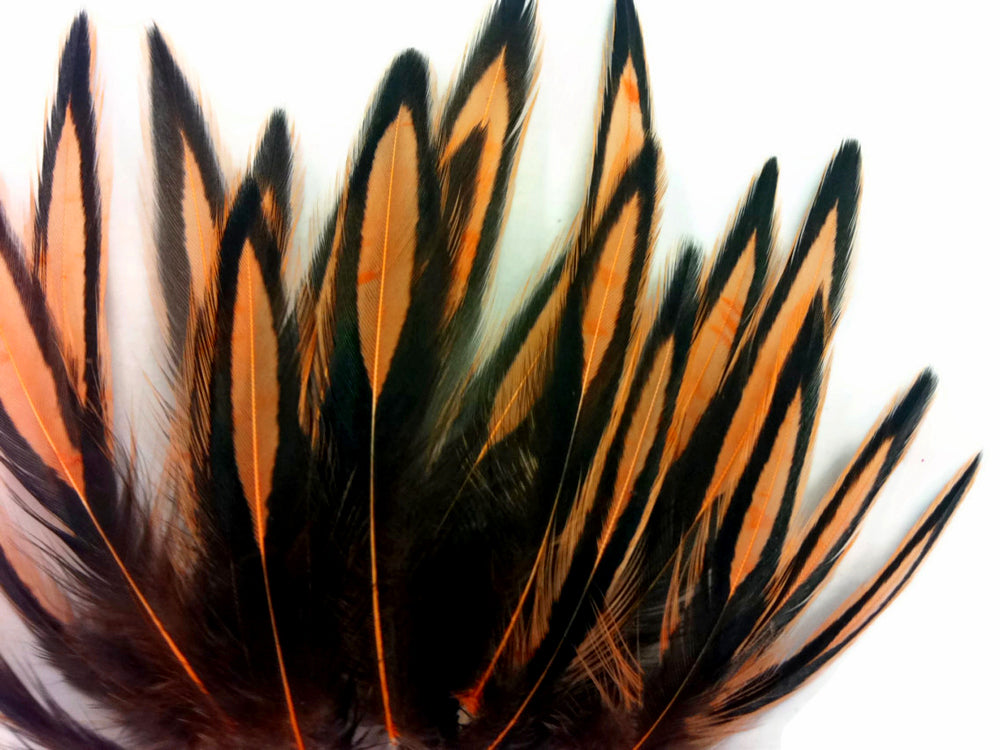 1 Dozen - Shrimp Pink Whiting Farms BLW Laced Hen Cape Loose Feathers