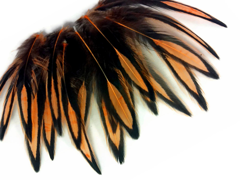 1 Dozen - Shrimp Pink Whiting Farms BLW Laced Hen Cape Loose Feathers