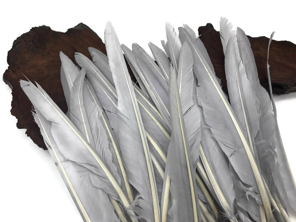 1/4 Lb. - Silver Gray Goose Pointers Long Primaries Wing Wholesale Feathers (Bulk)