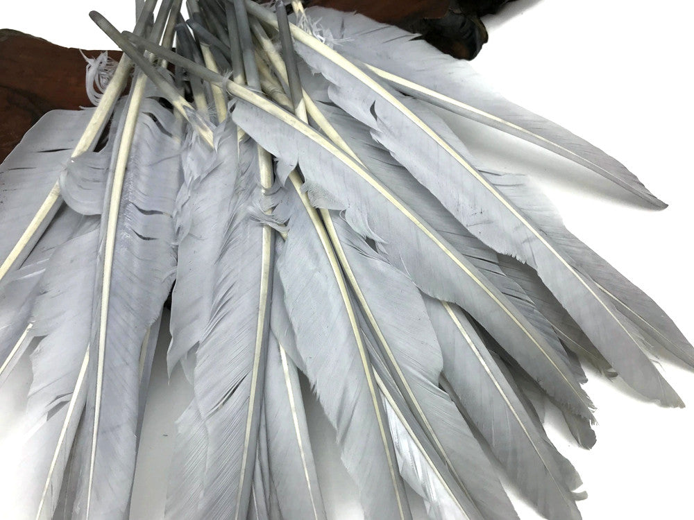 1/4 Lb. - Silver Gray Goose Pointers Long Primaries Wing Wholesale Feathers (Bulk)