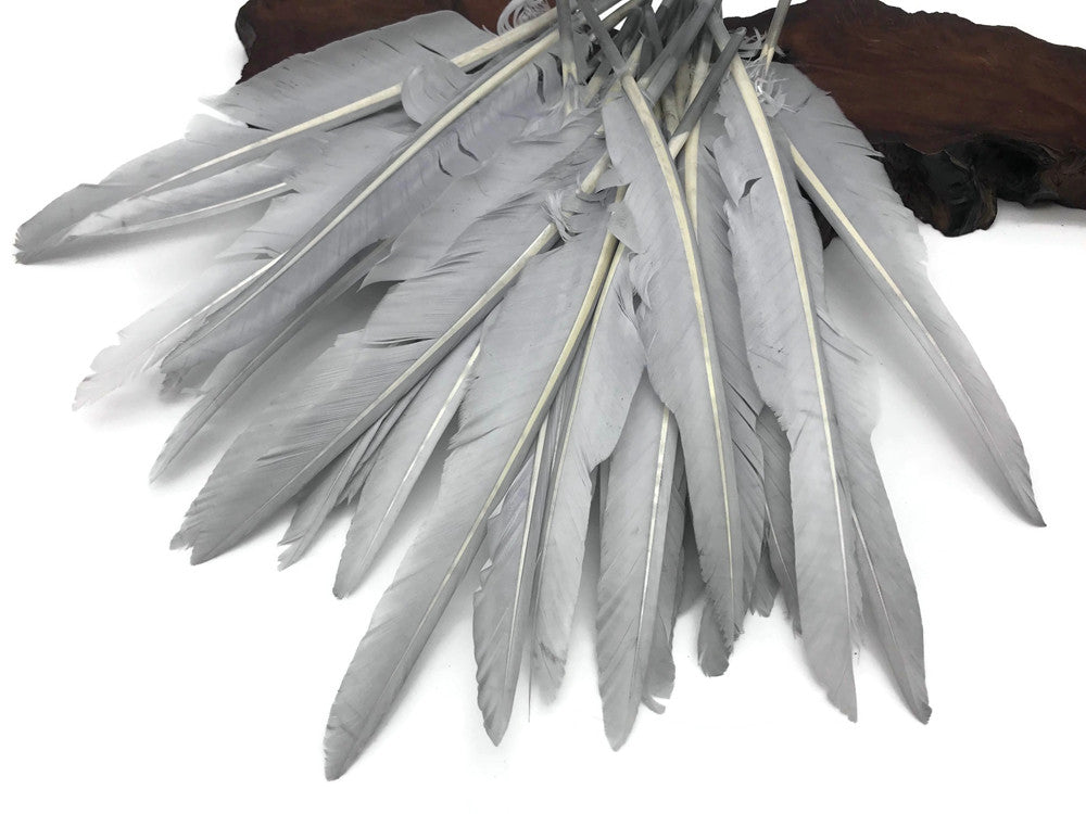 1/4 Lb. - Silver Gray Goose Pointers Long Primaries Wing Wholesale Feathers (Bulk)