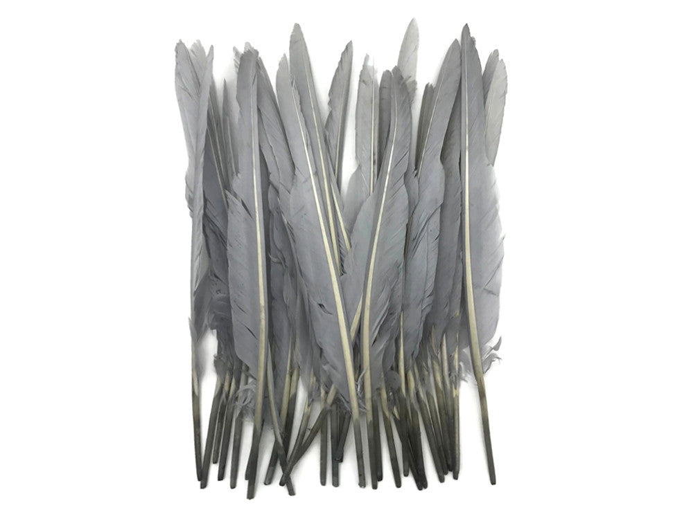 10 Pieces - Silver  Gray Goose Pointers Long Primaries Wing Feathers