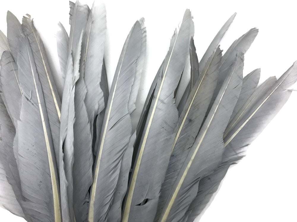 1/4 Lb. - Silver Gray Goose Pointers Long Primaries Wing Wholesale Feathers (Bulk)