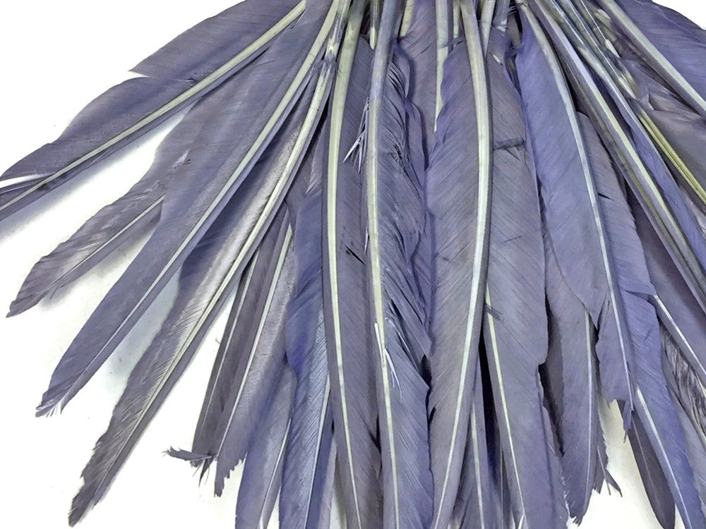 1/4 Lb. - Lilac Gray Goose Pointers Long Primaries Wing Wholesale Feathers (Bulk)