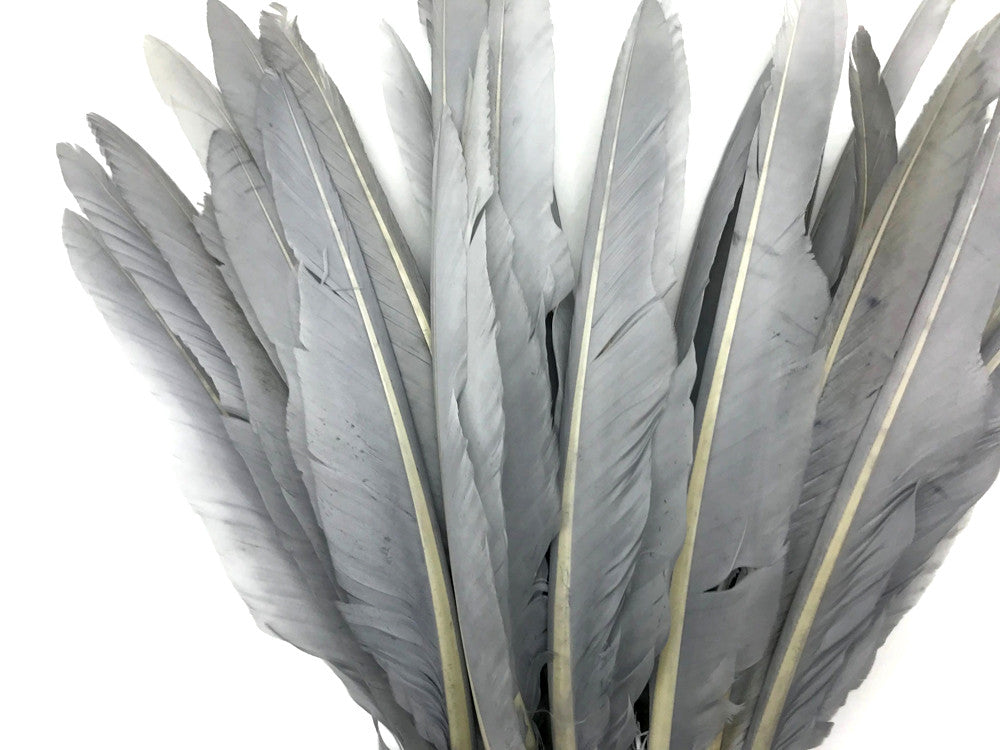 1/4 Lb. - Silver Gray Goose Pointers Long Primaries Wing Wholesale Feathers (Bulk)