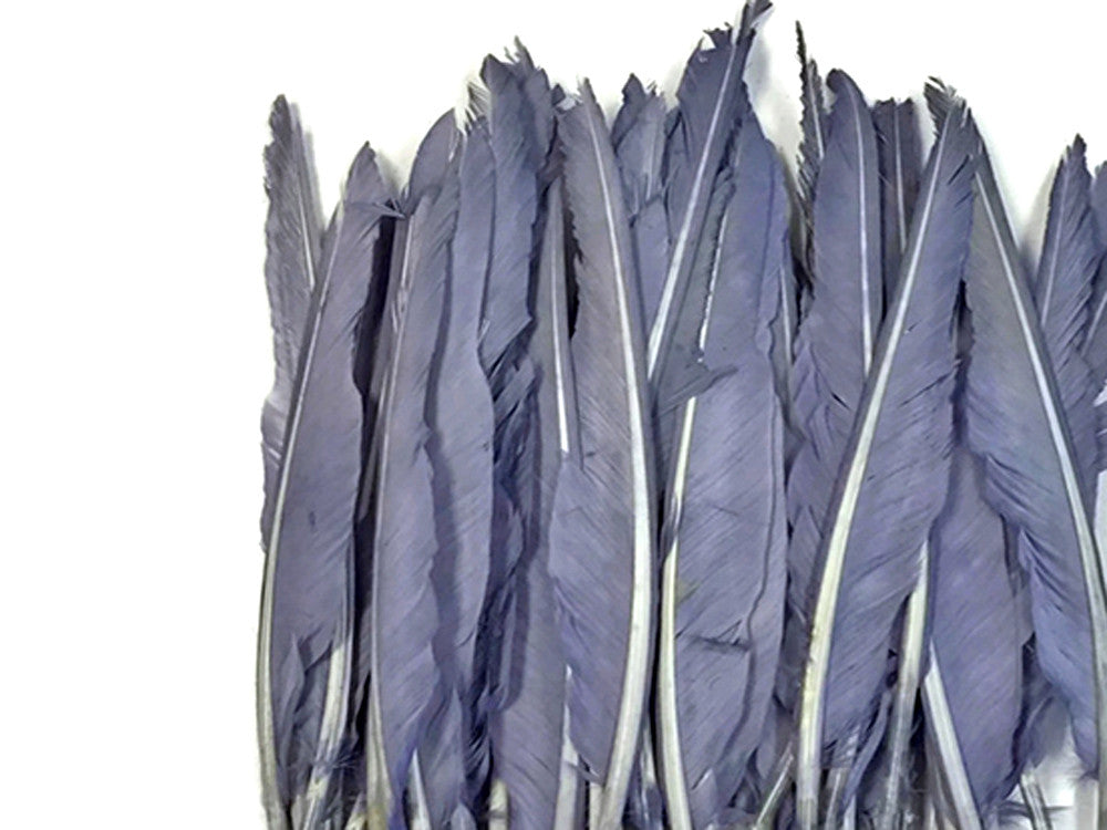 1/4 Lb. - Lilac Gray Goose Pointers Long Primaries Wing Wholesale Feathers (Bulk)