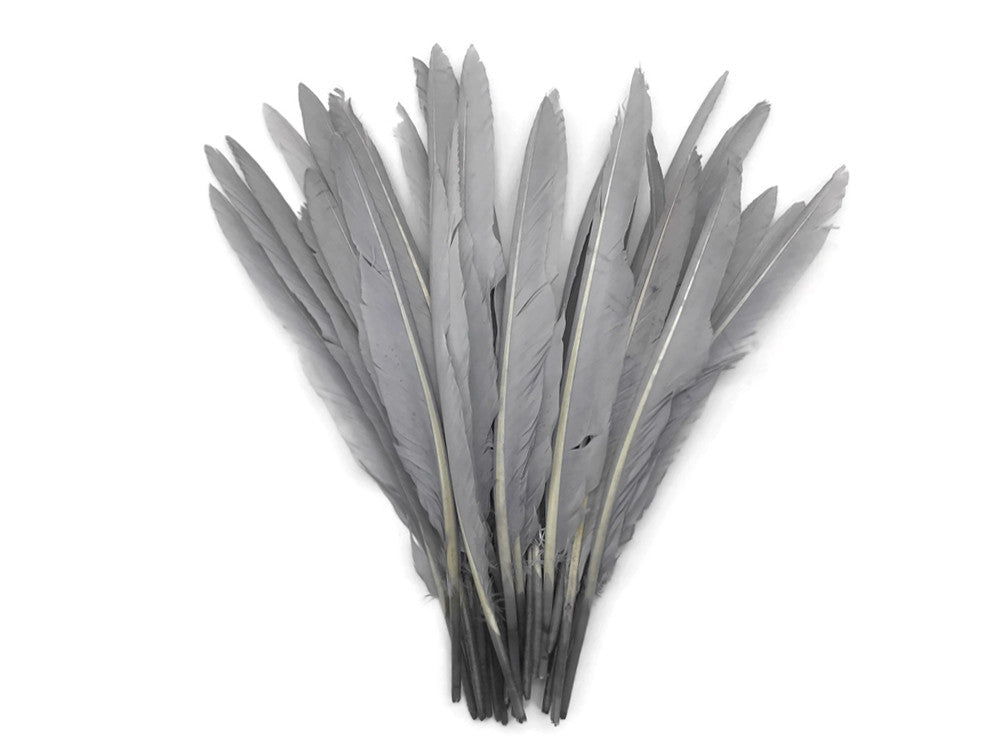 10 Pieces - Silver  Gray Goose Pointers Long Primaries Wing Feathers