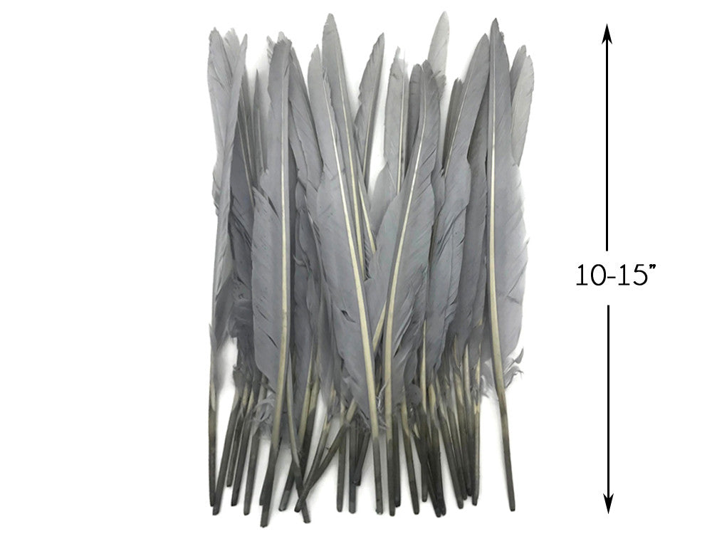 1/4 Lb. - Silver Gray Goose Pointers Long Primaries Wing Wholesale Feathers (Bulk)