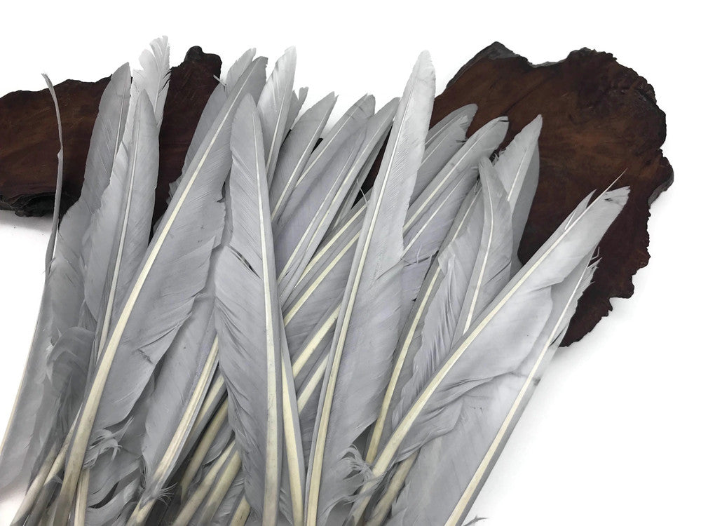 1/4 Lb. - Silver Gray Goose Pointers Long Primaries Wing Wholesale Feathers (Bulk)