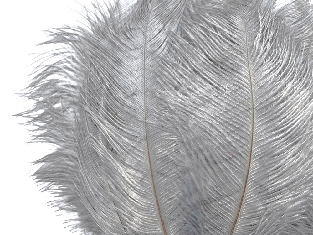 10 Pieces - 11-13" Silver Gray Bleached & Dyed Ostrich Drabs Body Feathers