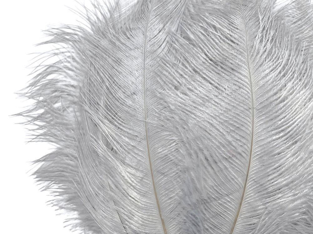 100 Pieces - 8-10" Silver Gray Ostrich Dyed Drab Body Wholesale Feathers (Bulk)