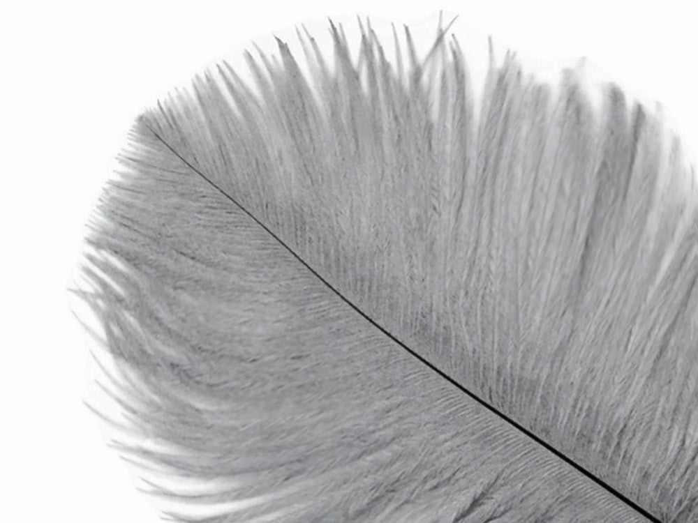 10 Pieces - 8-10" Silver Gray Ostrich Dyed Drabs Feathers