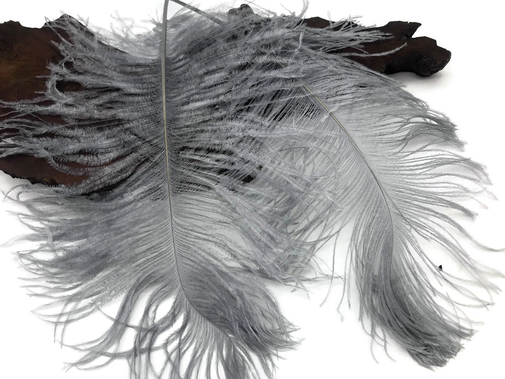 10 Pieces -  12-16" Silver Gray Dyed Ostrich Tail Fancy Feathers