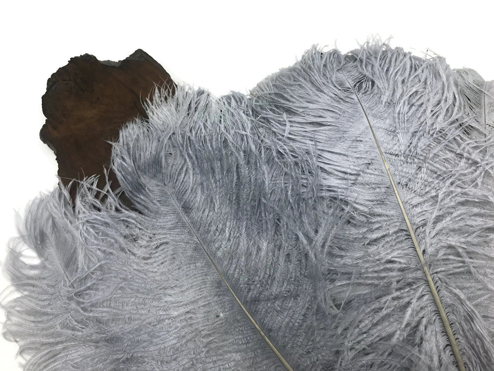 10 Pieces -  12-16" Silver Gray Dyed Ostrich Tail Fancy Feathers