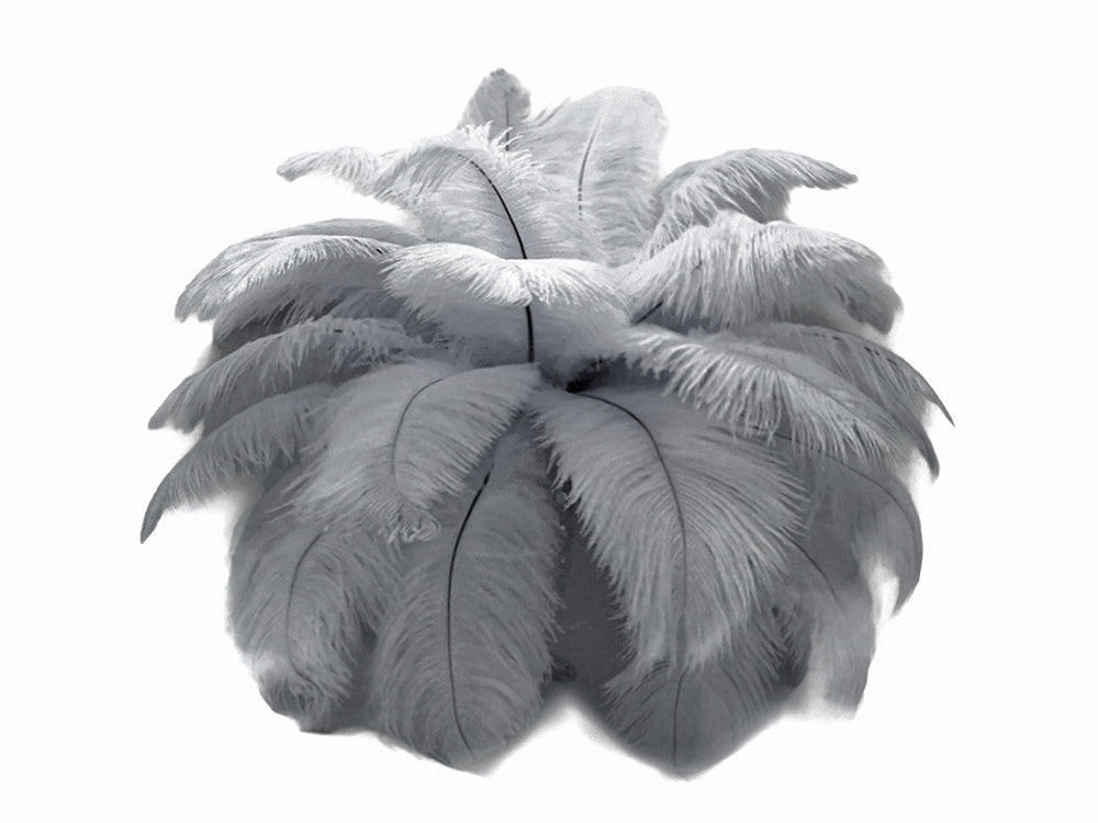 10 Pieces - 11-13" Silver Gray Bleached & Dyed Ostrich Drabs Body Feathers