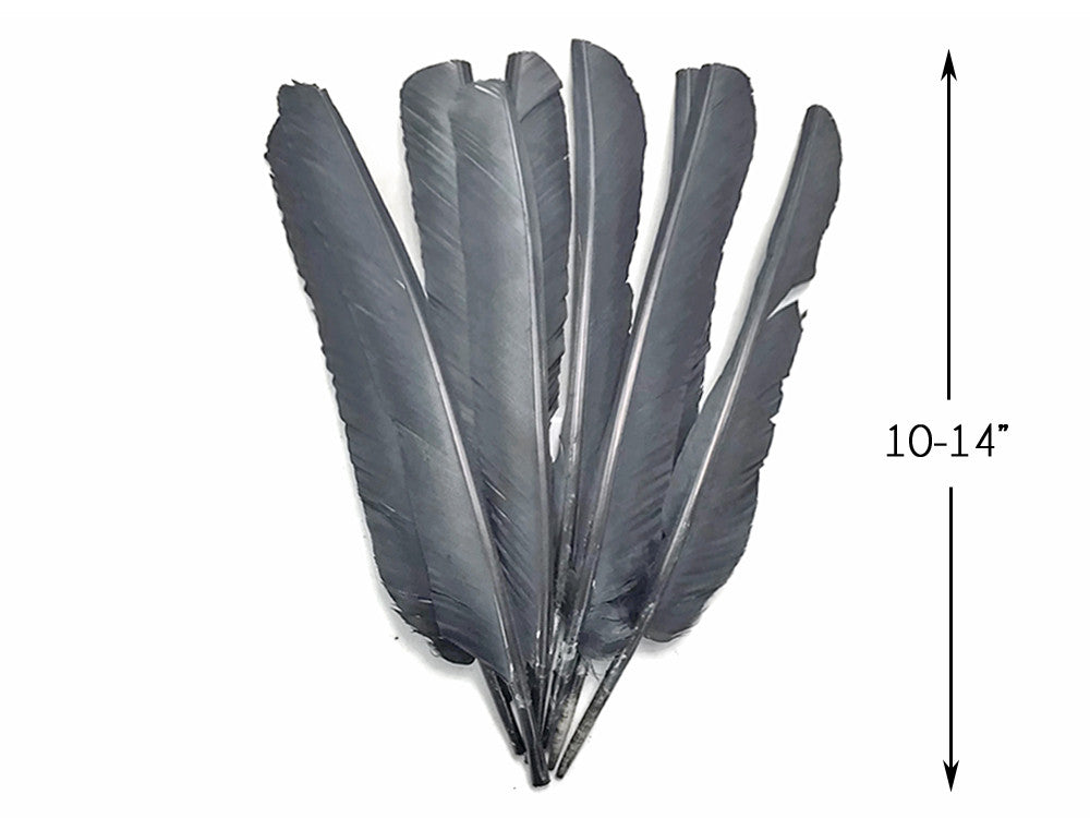 6 Pieces - Grey Turkey Pointers Primary Wing Quill Large Feathers