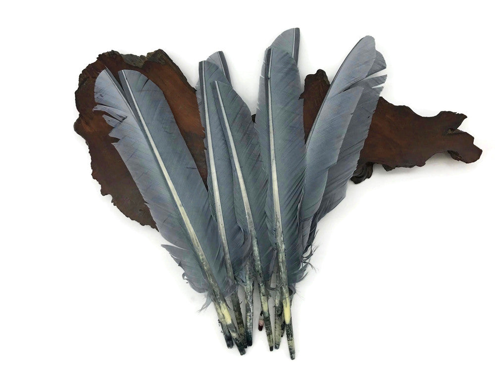 Wing Feathers, outlet 1 Lb - Yellow Turkey Rounds Wing Quill Wholesale Feathers (Bulk) Halloween Craft Supplier : 4938