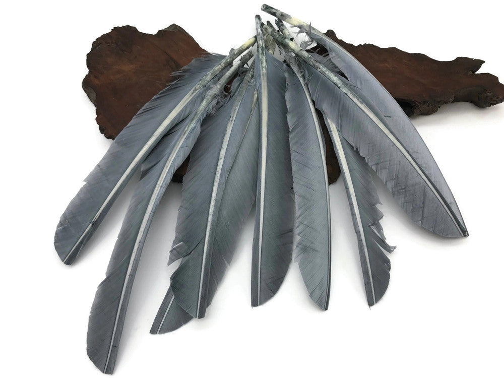 Wing Feathers, 1 Lb - Taupe Turkey Rounds Wing Quill Wholesale Feathers (Bulk) Halloween Craft 2024 Supplier : 4966