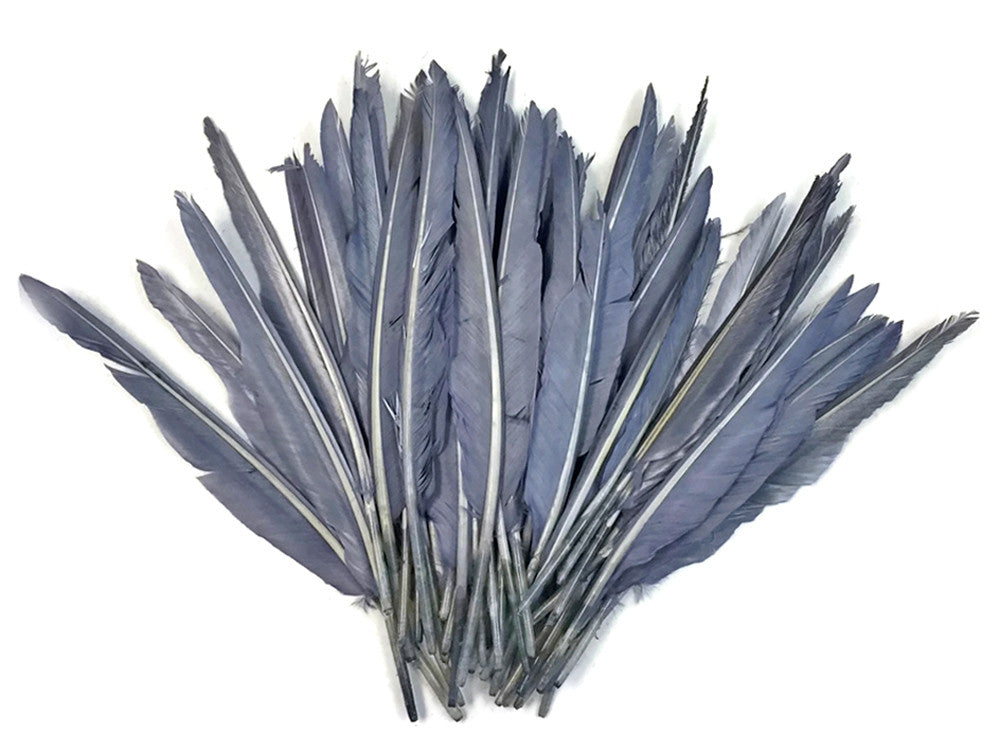 1/4 Lbs - Silver Gray Duck Pointer Primary Wing Wholesale Feathers (Bulk)