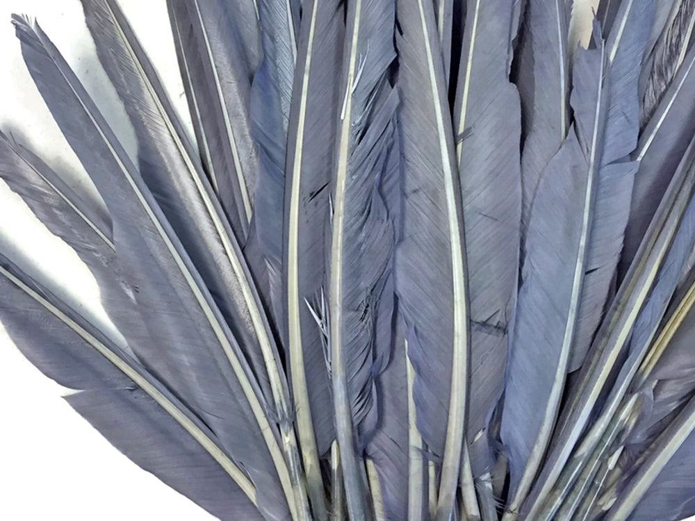 1/4 lbs. - Silver Gray Duck Pointer Primary Wing Wholesale Feathers (Bulk)