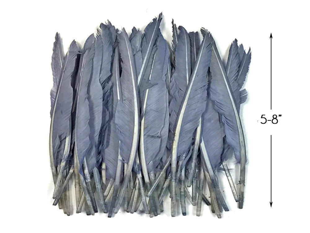 1/4 Lbs - Silver Gray Duck Pointer Primary Wing Wholesale Feathers (Bulk)