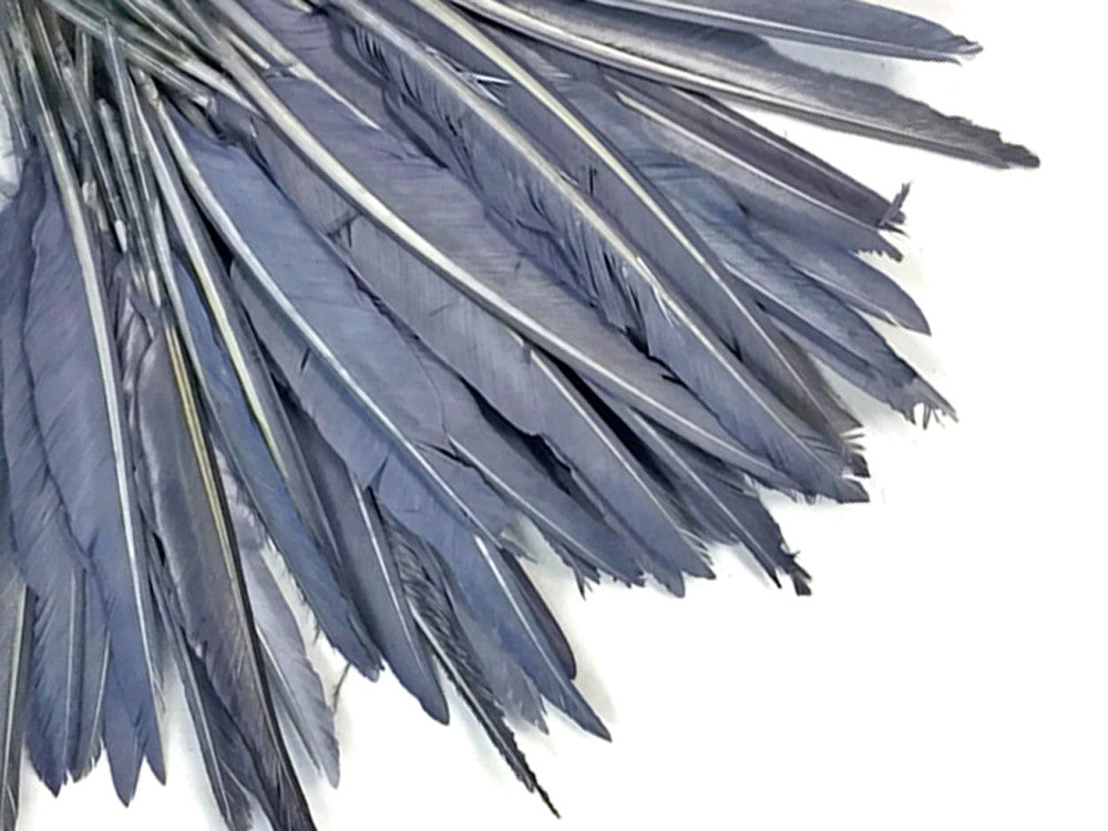 1/4 Lbs - Silver Gray Duck Pointer Primary Wing Wholesale Feathers (Bulk)