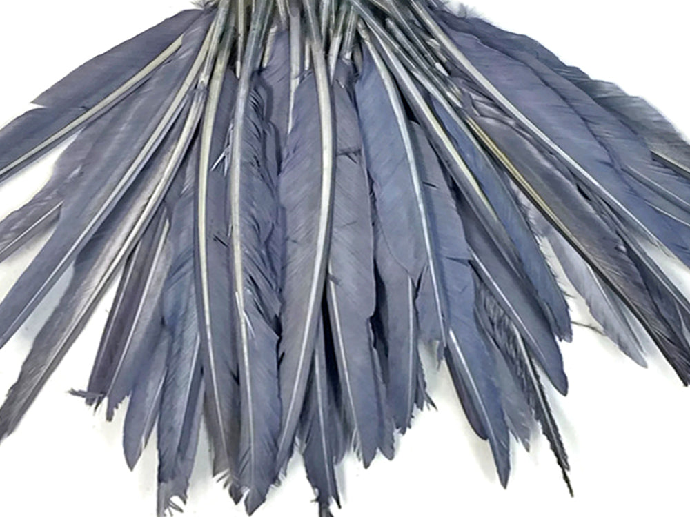 1/4 lbs. - Silver Gray Duck Pointer Primary Wing Wholesale Feathers (Bulk)
