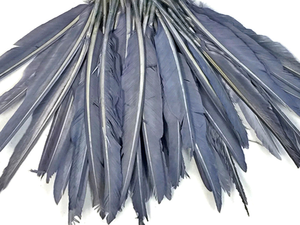 1/4 Lbs - Silver Gray Duck Pointer Primary Wing Wholesale Feathers (Bulk)