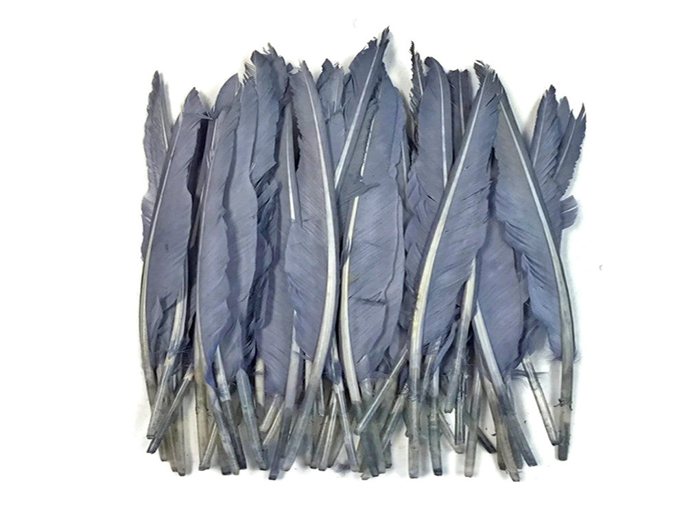 1 Pack - Silver Gray Duck Primary Wing Pointer Feathers 0.50 Oz.