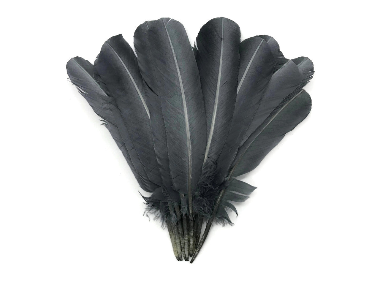 6 Pieces - Silver Gray Turkey Rounds Secondary Wing Quill Feathers